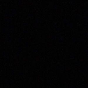 Meet your Posher, Daisy